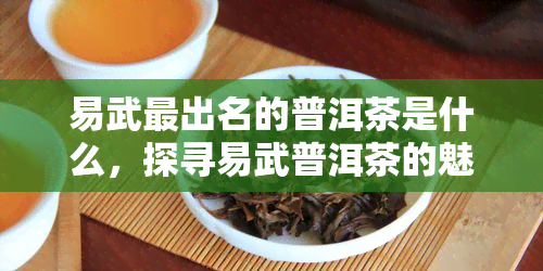 易武最出名的普洱茶是什么，探寻易武普洱茶的魅力：哪种茶叶最为知名？