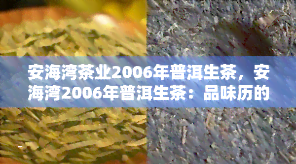 安海湾茶业2006年普洱生茶，安海湾2006年普洱生茶：品味历的陈香与韵味