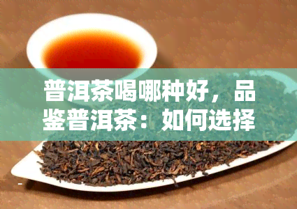 普洱茶喝哪种好，品鉴普洱茶：如何选择最适合你的口感？