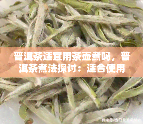 普洱茶适宜用茶壶煮吗，普洱茶煮法探讨：适合使用茶壶吗？