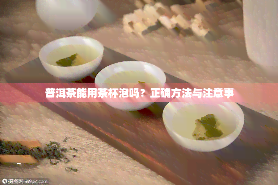 普洱茶能用茶杯泡吗？正确方法与注意事