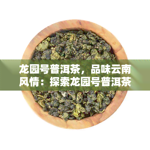 龙园号普洱茶，品味云南风情：探索龙园号普洱茶的世界