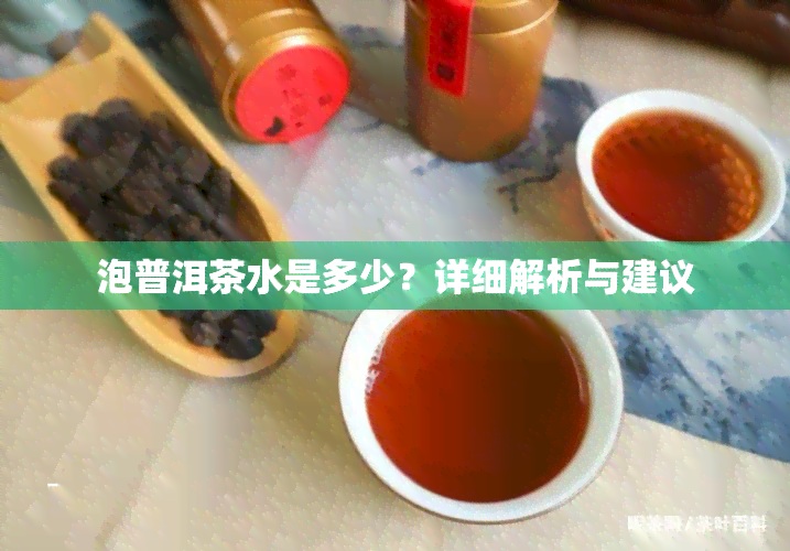 泡普洱茶水是多少？详细解析与建议