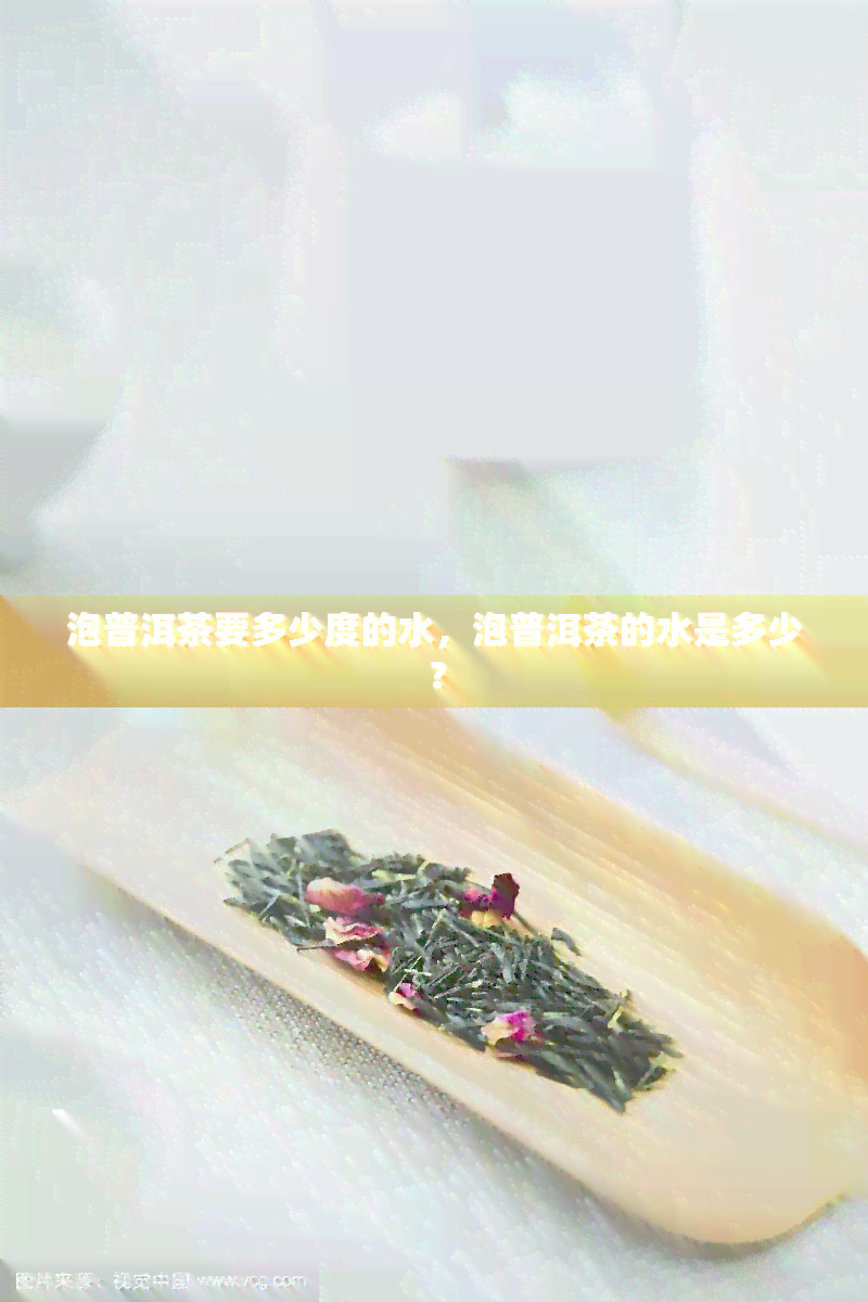 泡普洱茶要多少度的水，泡普洱茶的水是多少？