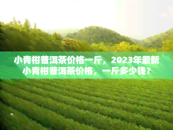 小青柑普洱茶价格一斤，2023年最新小青柑普洱茶价格，一斤多少钱？