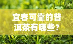 宜春可靠的普洱茶有哪些？为您推荐优质茶叶店与名