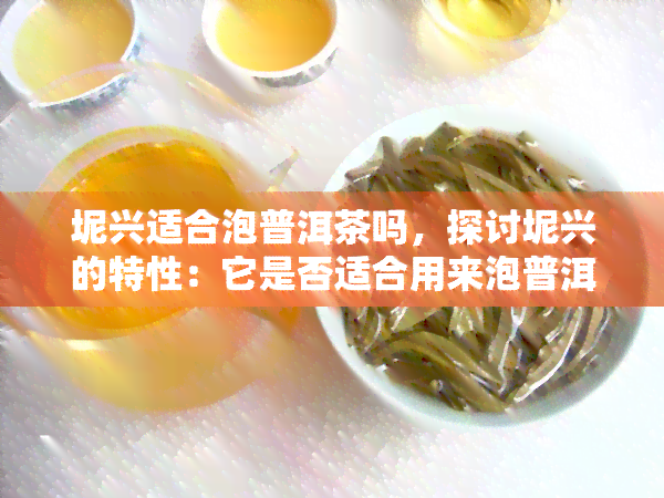 坭兴适合泡普洱茶吗，探讨坭兴的特性：它是否适合用来泡普洱茶？