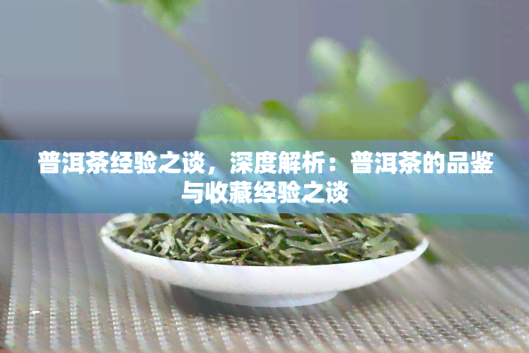 普洱茶经验之谈，深度解析：普洱茶的品鉴与收藏经验之谈