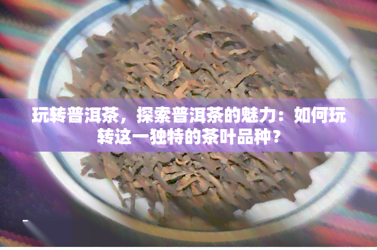 玩转普洱茶，探索普洱茶的魅力：如何玩转这一独特的茶叶品种？