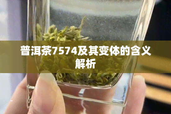 普洱茶7574及其变体的含义解析