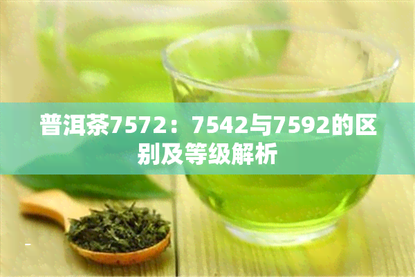 普洱茶7572：7542与7592的区别及等级解析