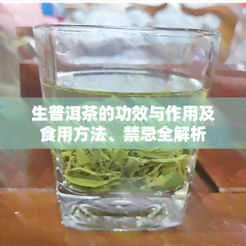 生普洱茶的功效与作用及食用方法、禁忌全解析