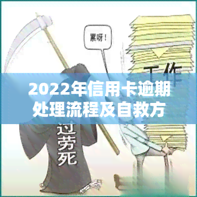 2022年信用卡逾期处理流程及自救方法全解