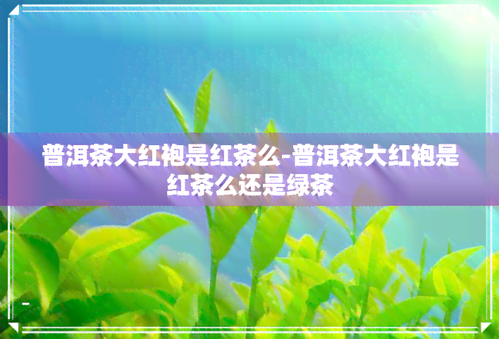 普洱茶大红袍是红茶么-普洱茶大红袍是红茶么还是绿茶