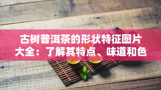 古树普洱茶的形状特征图片大全：了解其特点、味道和色泽