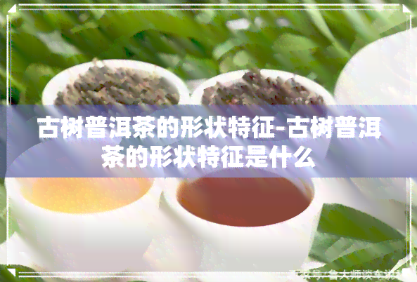 古树普洱茶的形状特征-古树普洱茶的形状特征是什么