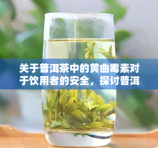 关于普洱茶中的黄曲霉素对于饮用者的安全，探讨普洱茶中黄曲霉素对饮用者的影响与安全性