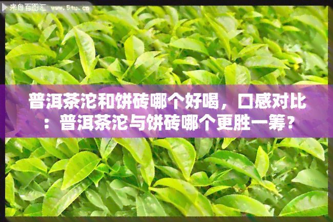 普洱茶沱和饼砖哪个好喝，口感对比：普洱茶沱与饼砖哪个更胜一筹？