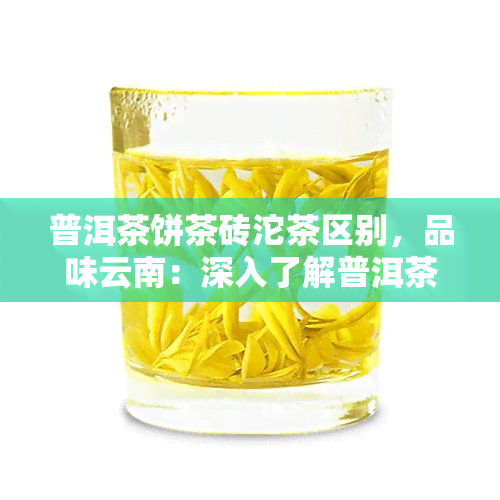 普洱茶饼茶砖沱茶区别，品味云南：深入了解普洱茶饼、茶砖与沱茶的区别