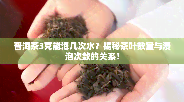 普洱茶3克能泡几次水？揭秘茶叶数量与浸泡次数的关系！