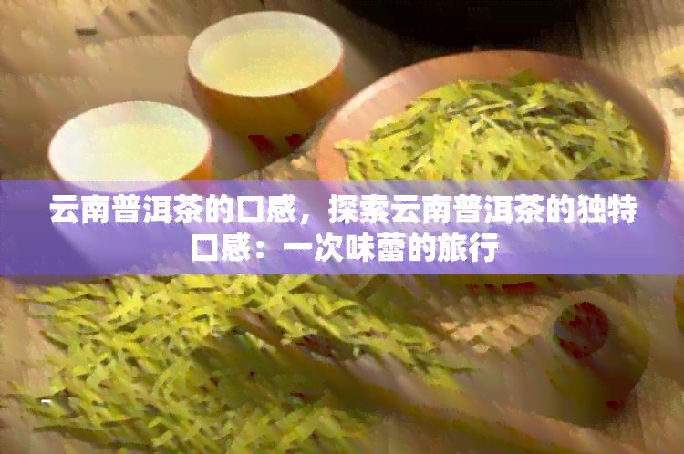 云南普洱茶的口感，探索云南普洱茶的独特口感：一次味蕾的旅行