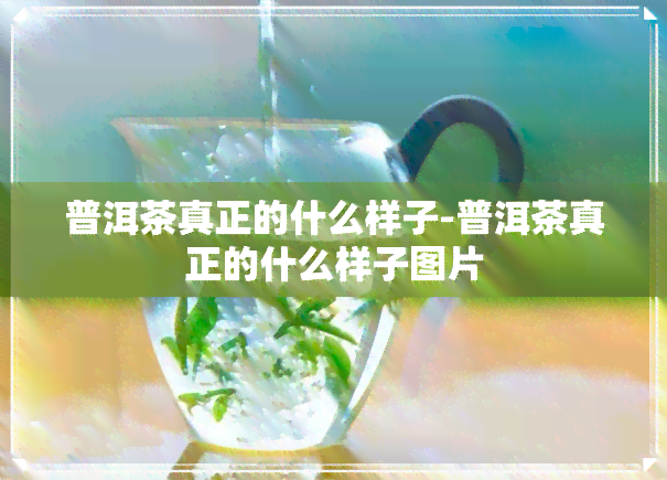 普洱茶真正的什么样子-普洱茶真正的什么样子图片