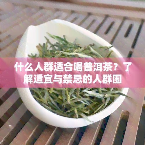 什么人群适合喝普洱茶？了解适宜与禁忌的人群围