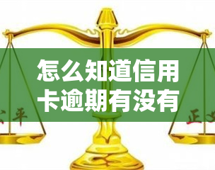 怎么知道信用卡逾期有没有被起诉，如何判断信用卡逾期是否已被起诉？