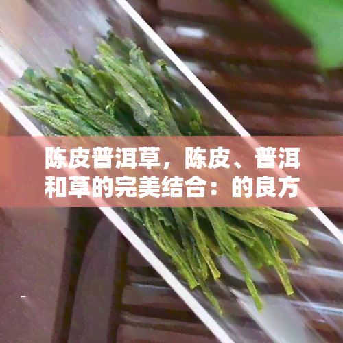 陈皮普洱草，陈皮、普洱和草的完美结合：的良方