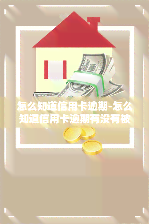 怎么知道信用卡逾期-怎么知道信用卡逾期有没有被起诉