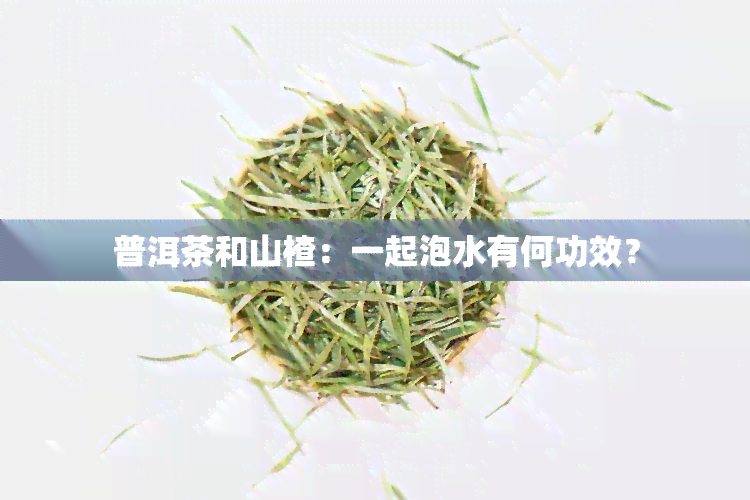 普洱茶和山楂：一起泡水有何功效？