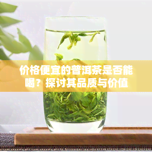 价格便宜的普洱茶是否能喝？探讨其品质与价值