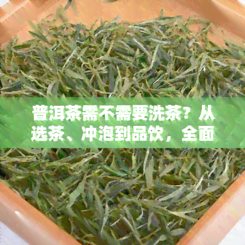 普洱茶需不需要洗茶？从选茶、冲泡到品饮，全面解析