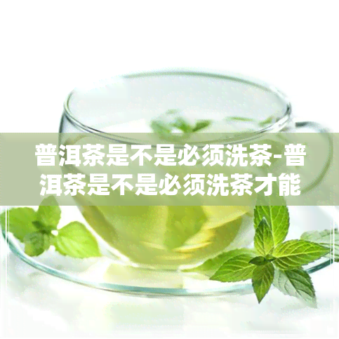 普洱茶是不是必须洗茶-普洱茶是不是必须洗茶才能喝