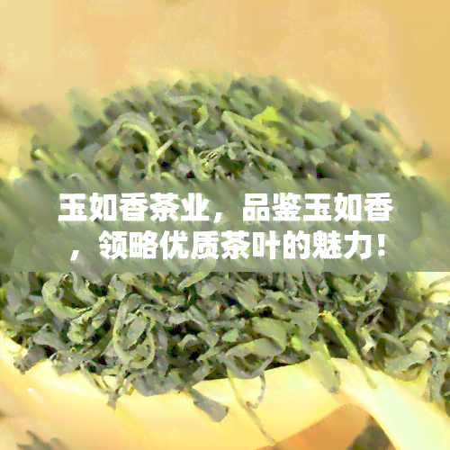 玉如香茶业，品鉴玉如香，领略优质茶叶的魅力！