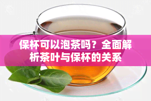 保杯可以泡茶吗？全面解析茶叶与保杯的关系