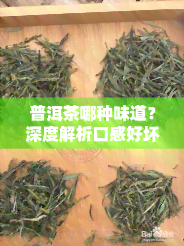 普洱茶哪种味道？深度解析口感好坏