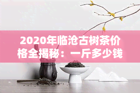 2020年临沧古树茶价格全揭秘：一斤多少钱？拍卖情况如何？