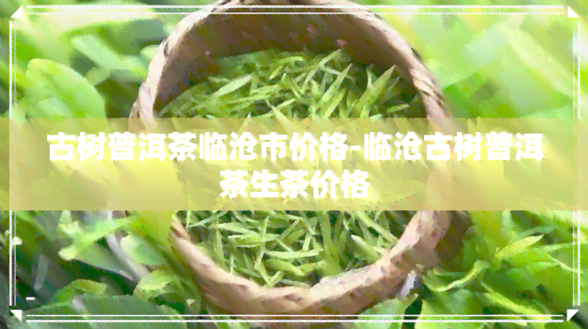 古树普洱茶临沧市价格-临沧古树普洱茶生茶价格