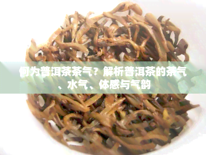 何为普洱茶茶气？解析普洱茶的茶气、水气、体感与气韵