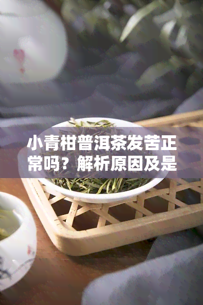 小青柑普洱茶发苦正常吗？解析原因及是否适合饮用