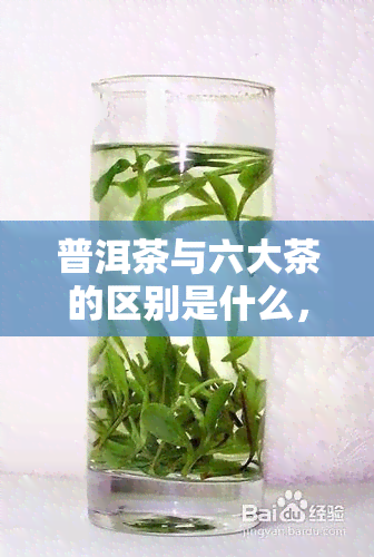 普洱茶与六大茶的区别是什么，深入了解：普洱茶与其他六大茶类的差异是什么？