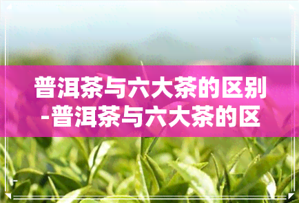 普洱茶与六大茶的区别-普洱茶与六大茶的区别是什么