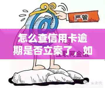 怎么查信用卡逾期是否立案了，如何查询信用卡逾期是否已被立案？