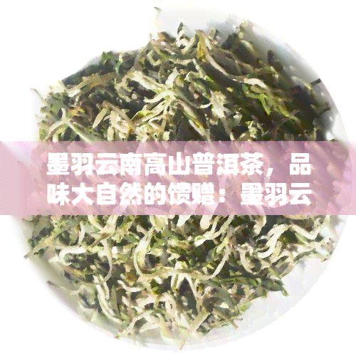 墨羽云南高山普洱茶，品味大自然的馈赠：墨羽云南高山普洱茶的魅力探索