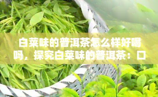 白菜味的普洱茶怎么样好喝吗，探究白菜味的普洱茶：口感如何，是否好喝？