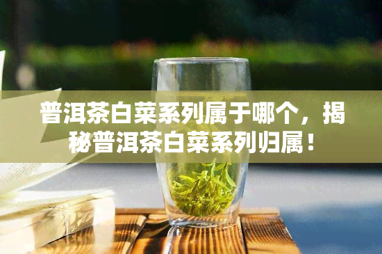 普洱茶白菜系列属于哪个，揭秘普洱茶白菜系列归属！