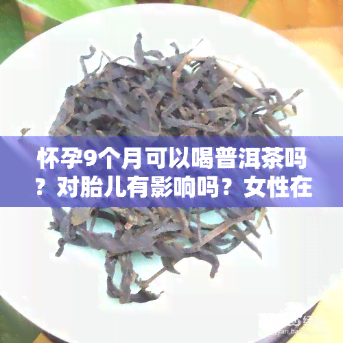 怀孕9个月可以喝普洱茶吗？对胎儿有影响吗？女性在孕期是否适合饮茶或茶叶？