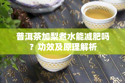 普洱茶加梨煮水能减肥吗？功效及原理解析