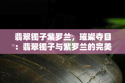 翡翠镯子紫罗兰，璀璨夺目：翡翠镯子与紫罗兰的完美结合